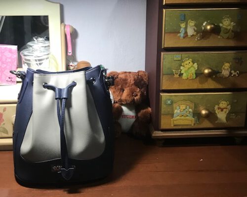 Mini Ella Bucket Bag photo review